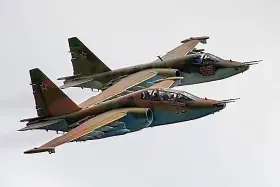 Минобороны дополнительно закупило в этом году на сэкономленные средства 5 боевых самолетов и 5 ве