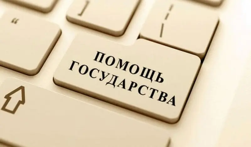 Поддержка от государства